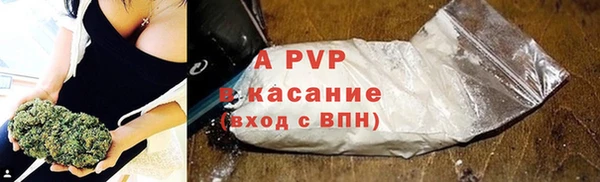 ПСИЛОЦИБИНОВЫЕ ГРИБЫ Иннополис