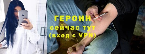 прущие грибы Инта