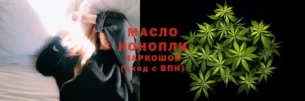 прущие грибы Инта