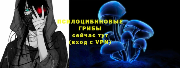 ПСИЛОЦИБИНОВЫЕ ГРИБЫ Иннополис