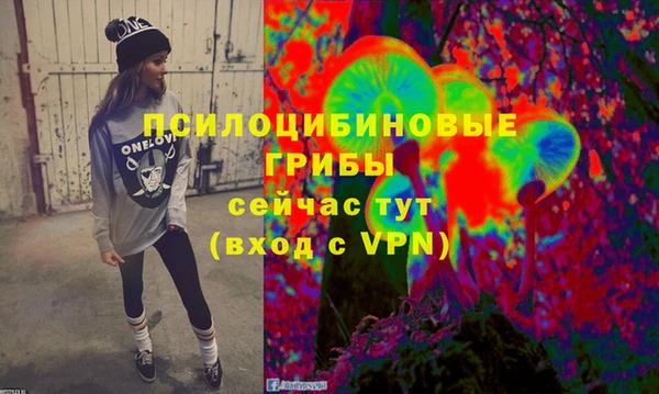 ПСИЛОЦИБИНОВЫЕ ГРИБЫ Иннополис