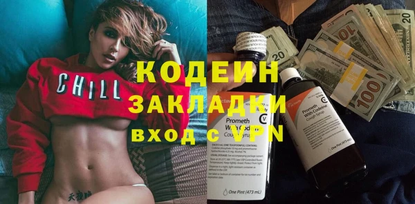 прущие грибы Инта