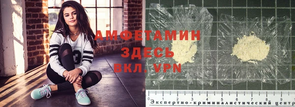 прущие грибы Инта