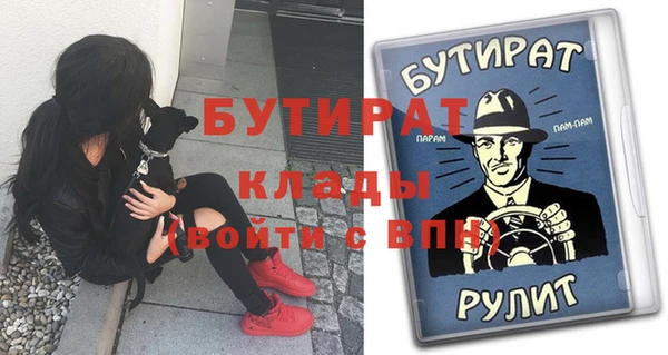 прущие грибы Инта