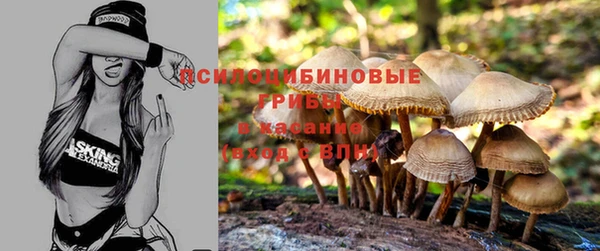 ПСИЛОЦИБИНОВЫЕ ГРИБЫ Иннополис