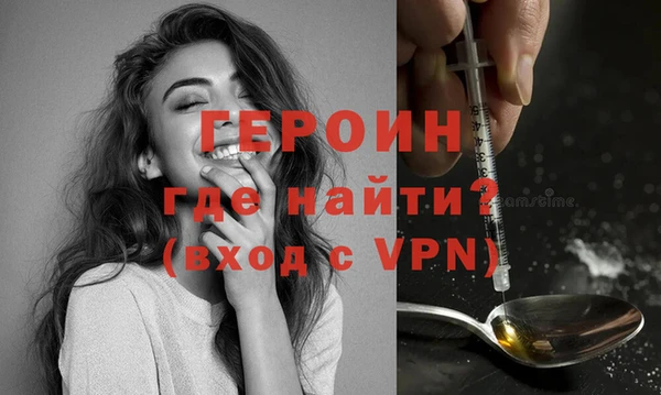прущие грибы Инта