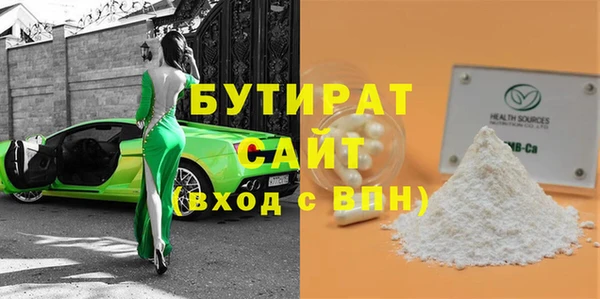 прущие грибы Инта