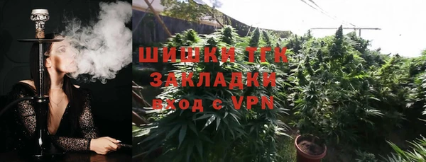 прущие грибы Инта