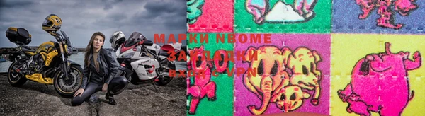 ПСИЛОЦИБИНОВЫЕ ГРИБЫ Иннополис
