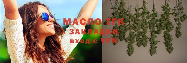 прущие грибы Инта